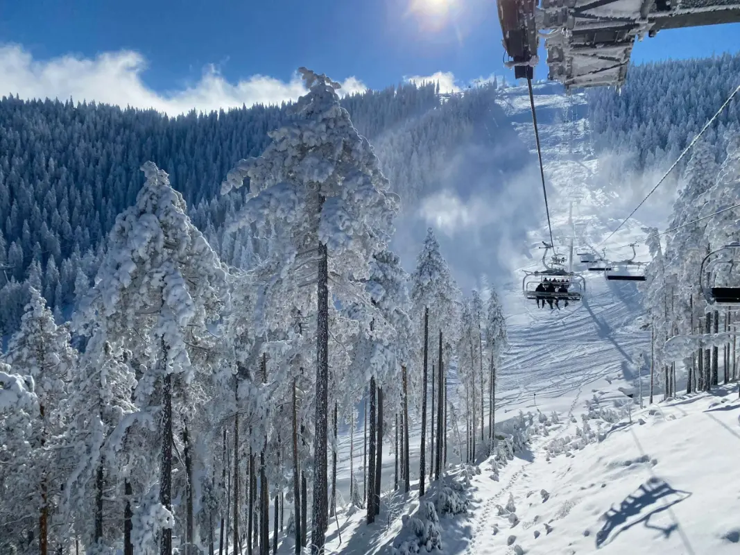 Snow-covered pine trees and ski lift chairs at Kopaonik mountain resort. Perfect example for long-distance transfers in Serbia.